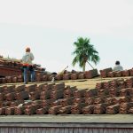 Twee dakwerkers leggen dakpannen op een groot dak tijdens renovatie onder een heldere lucht met palmboom op de achtergrond.