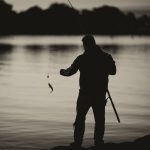 Tijgernoten als onweerstaanbaar aas voor slimme vissen