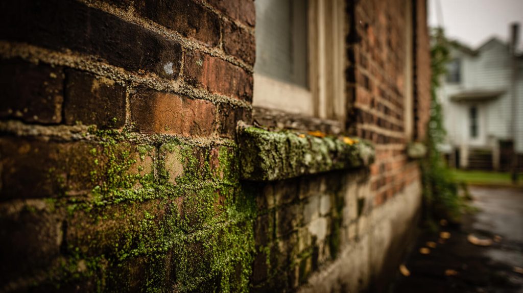 Close-up van een bemoste baksteenmuur met groene aanslag op het metselwerk en de vensterbank
